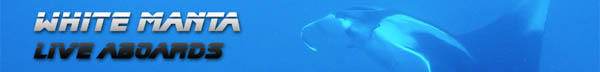 Great Live Aboards from Singapore and Similan
