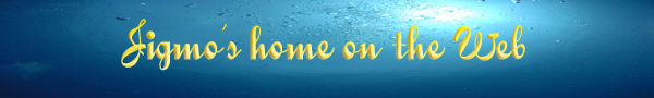 Our website with not just diving pictures